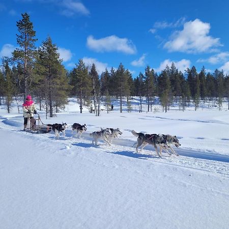 Aurora Queen Resort Igloos Saariselkä Eksteriør billede