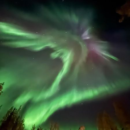 Aurora Queen Resort Igloos Saariselkä Eksteriør billede