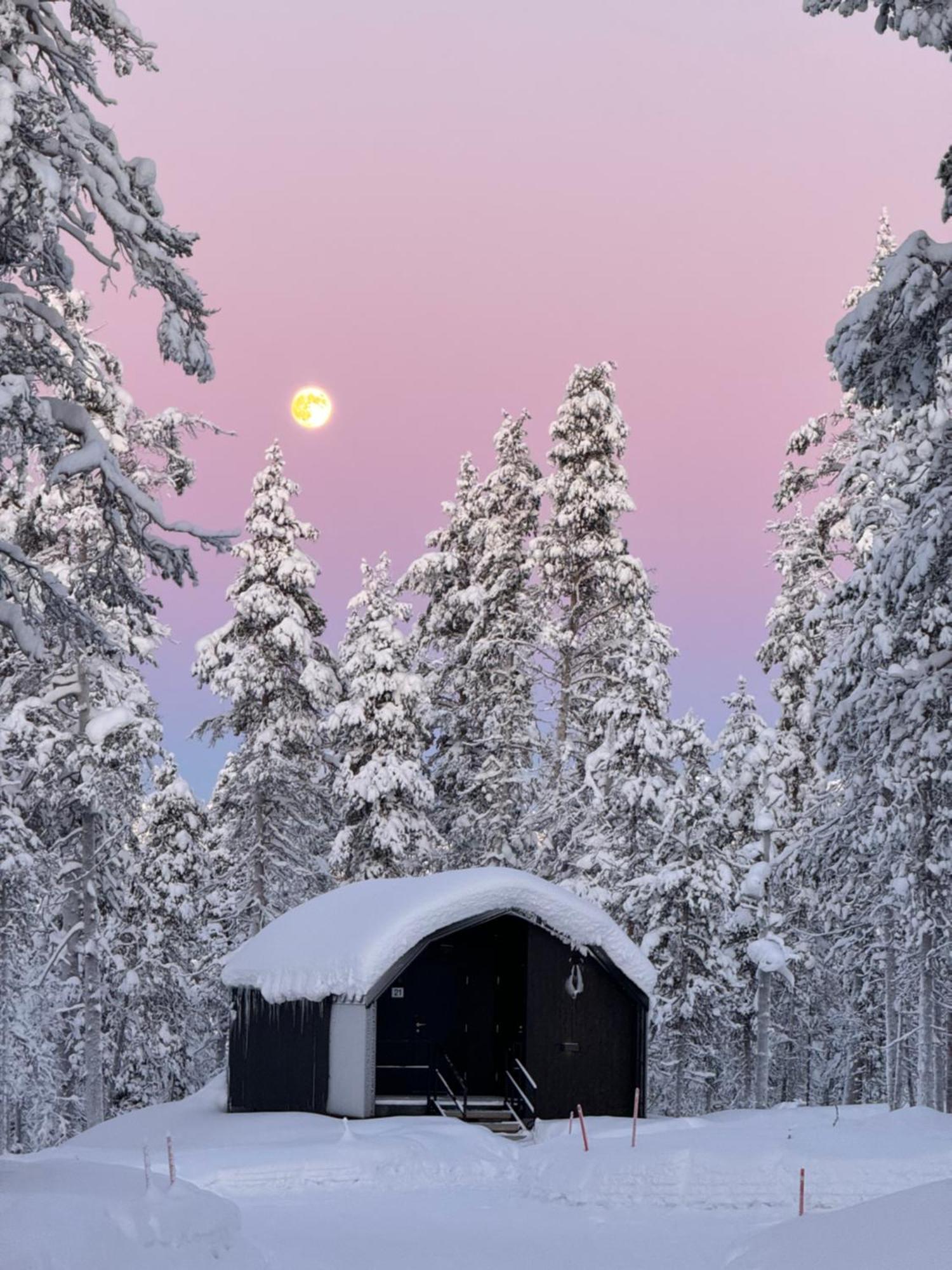 Aurora Queen Resort Igloos Saariselkä Eksteriør billede