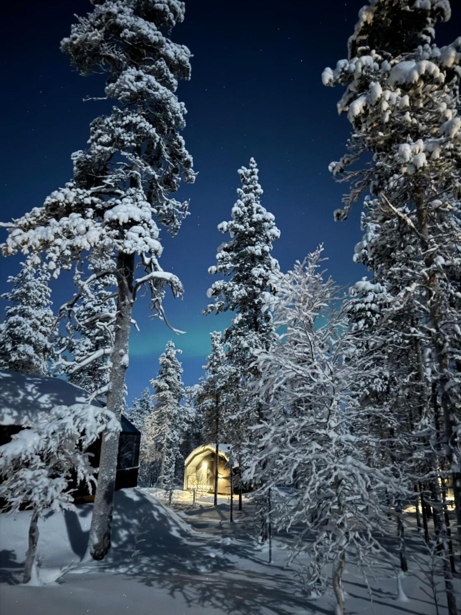 Aurora Queen Resort Igloos Saariselkä Eksteriør billede
