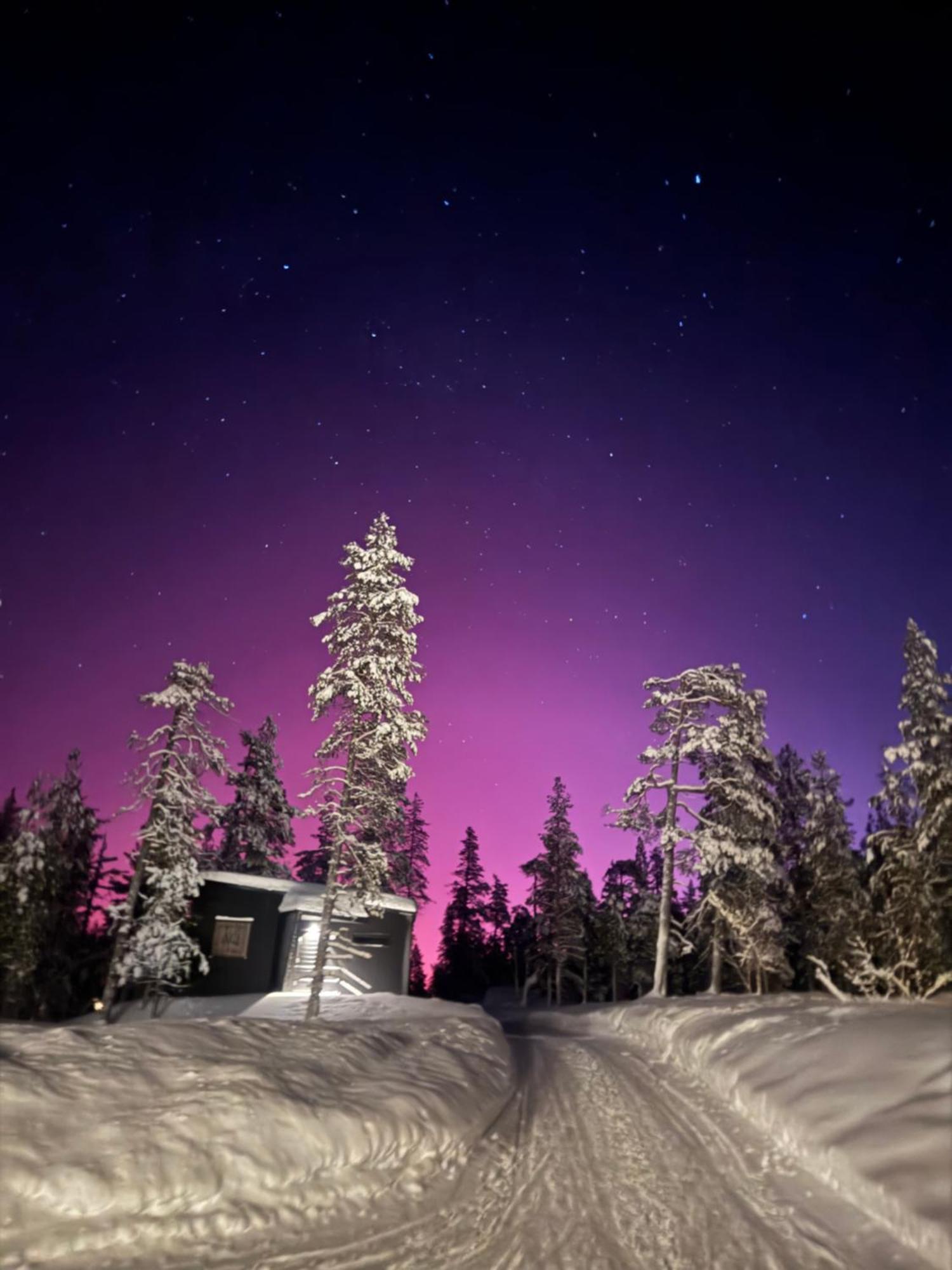 Aurora Queen Resort Igloos Saariselkä Eksteriør billede