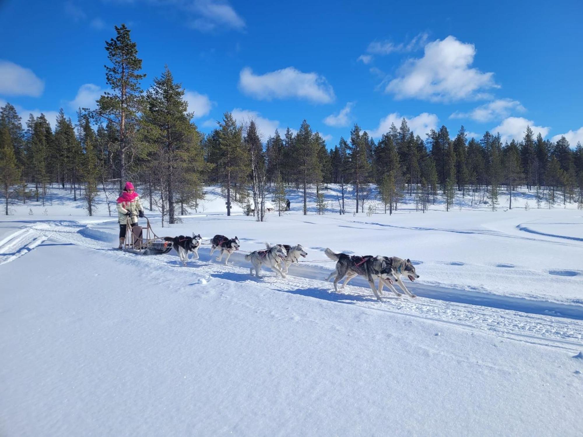 Aurora Queen Resort Igloos Saariselkä Eksteriør billede