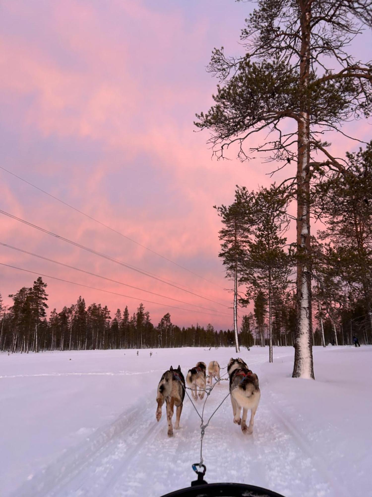 Aurora Queen Resort Igloos Saariselkä Eksteriør billede