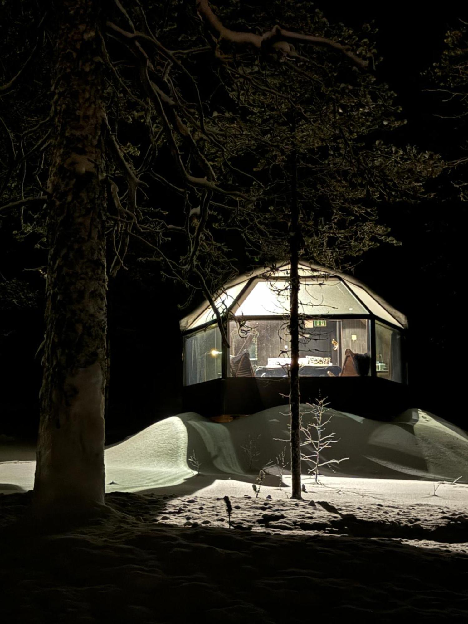 Aurora Queen Resort Igloos Saariselkä Eksteriør billede