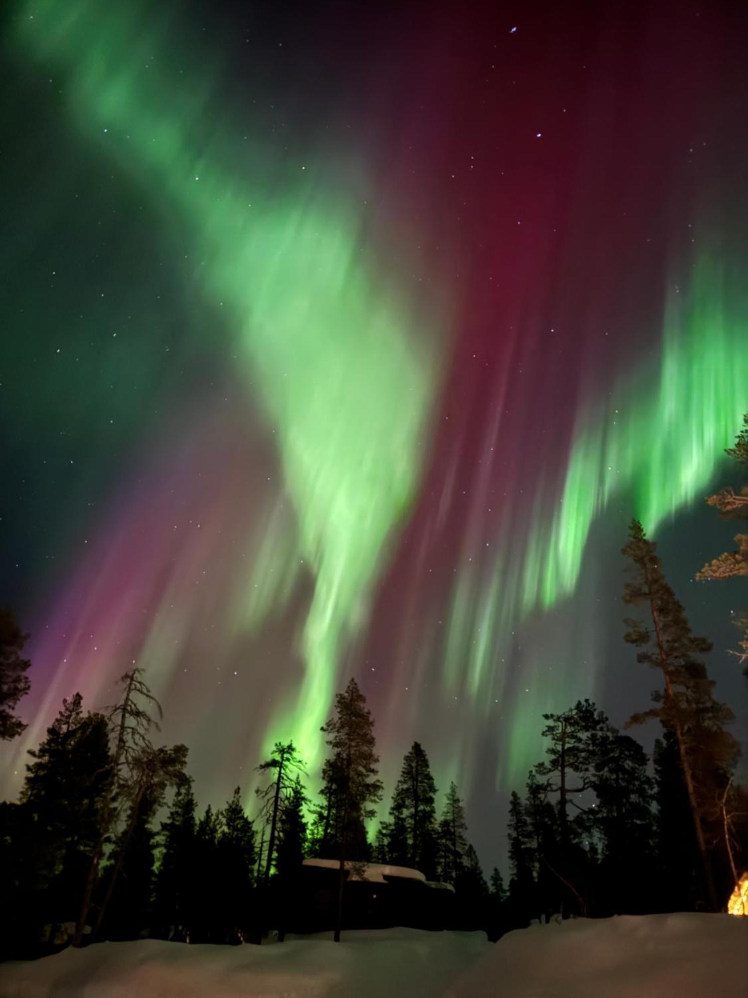 Aurora Queen Resort Igloos Saariselkä Eksteriør billede