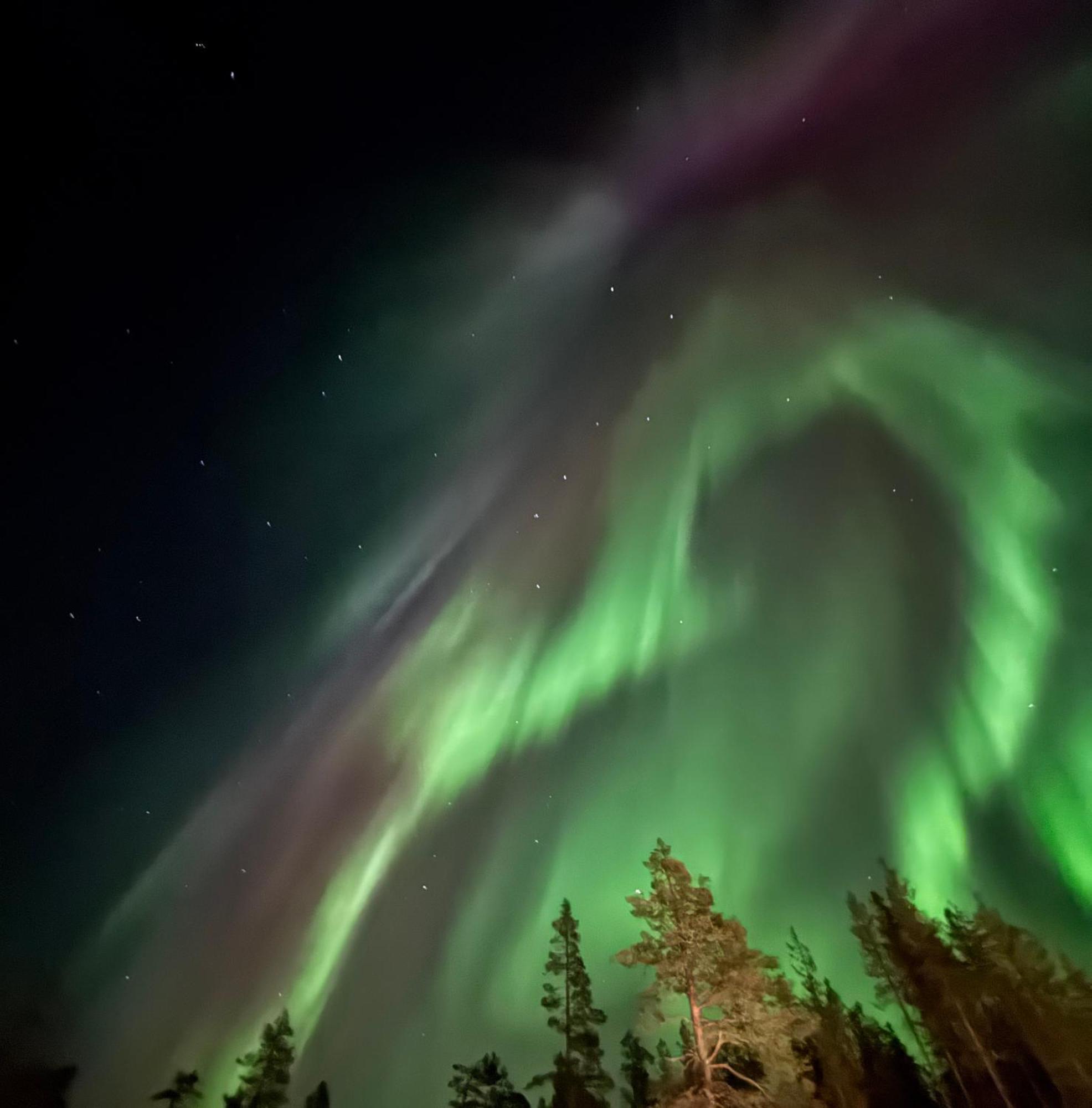 Aurora Queen Resort Igloos Saariselkä Eksteriør billede