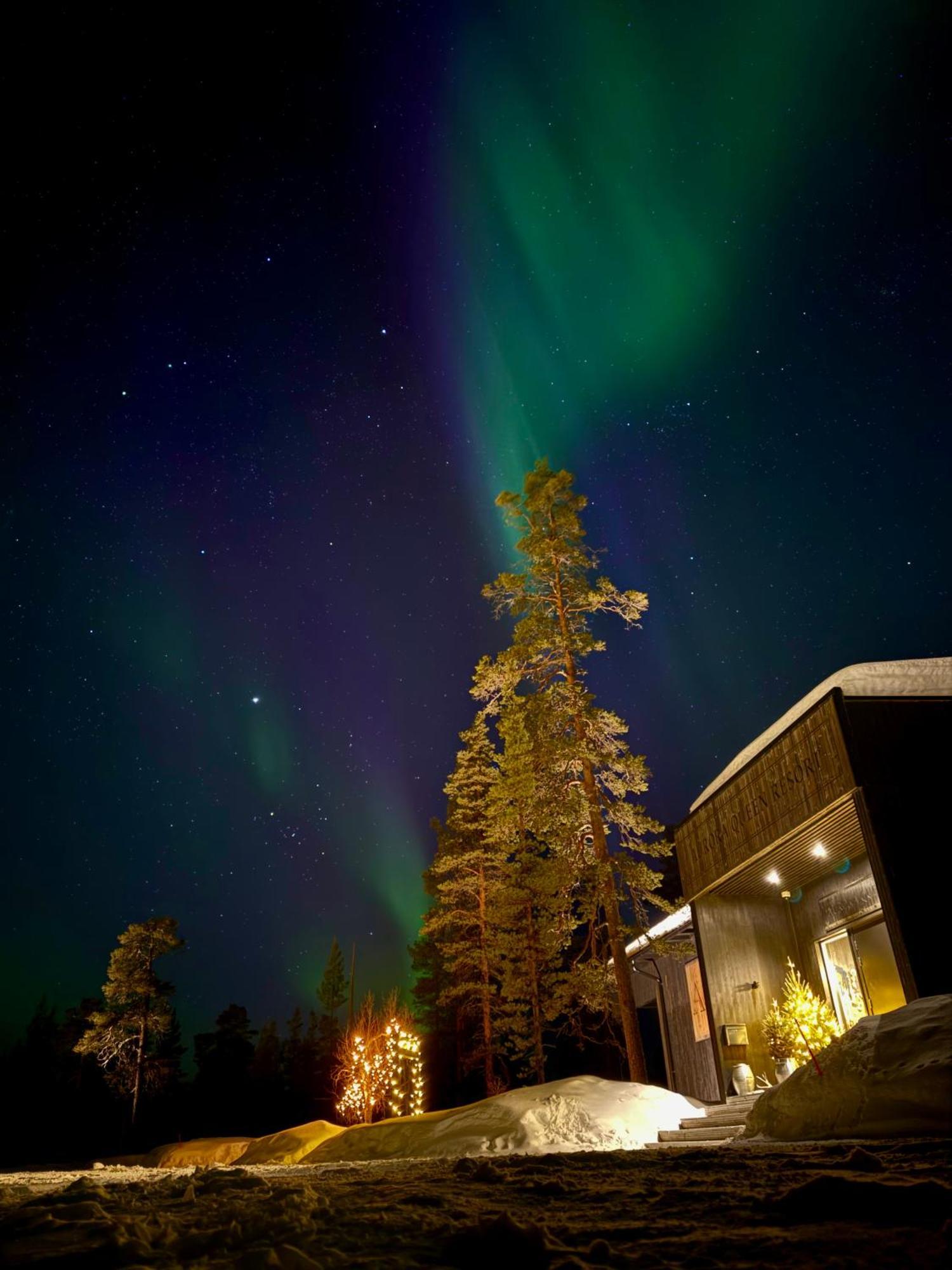 Aurora Queen Resort Igloos Saariselkä Eksteriør billede