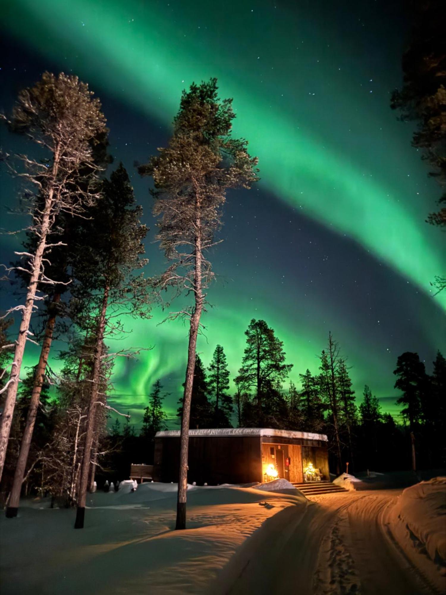 Aurora Queen Resort Igloos Saariselkä Eksteriør billede