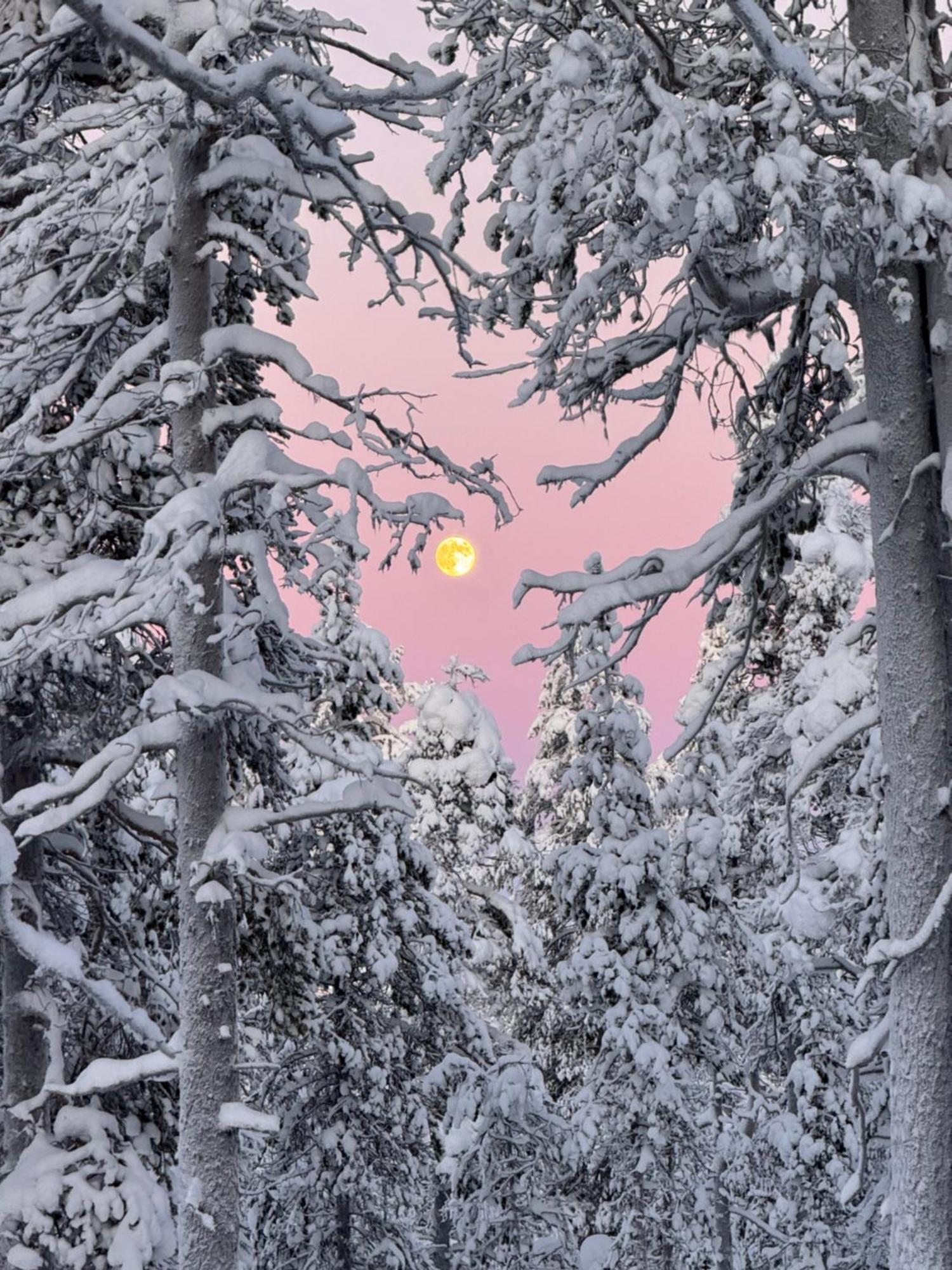 Aurora Queen Resort Igloos Saariselkä Eksteriør billede