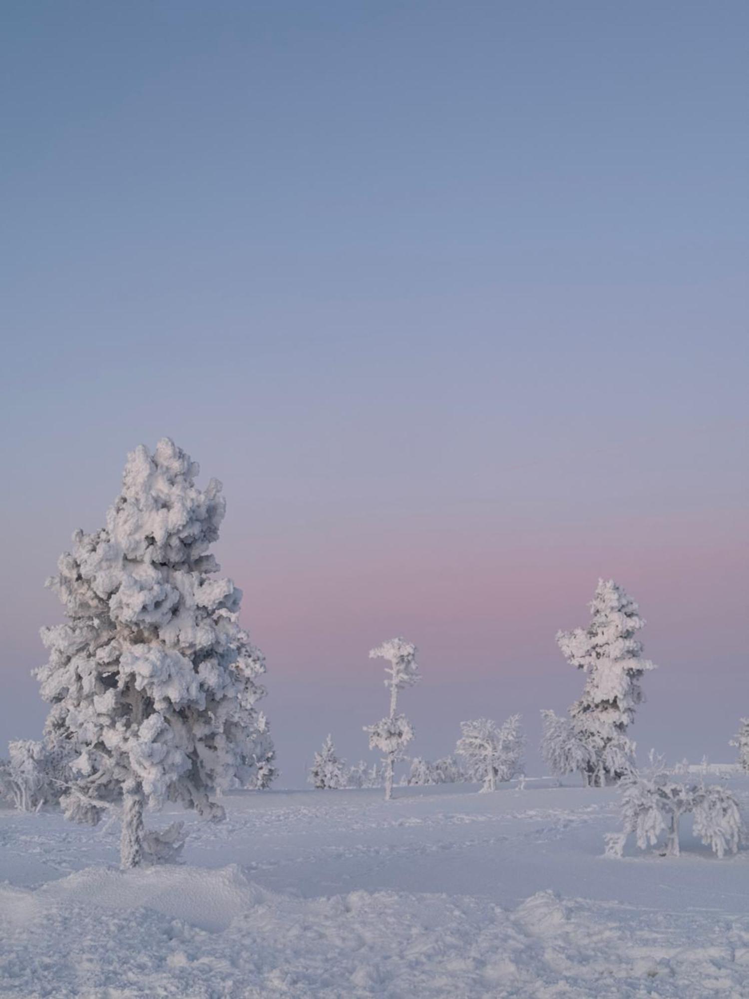 Aurora Queen Resort Igloos Saariselkä Eksteriør billede